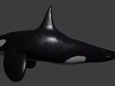 Orca wheel Rig Optimize game ready for unreal and unity Low-poly 3D model