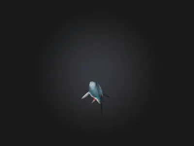 Realistic Wounded Shark Model Low-poly 3D model
