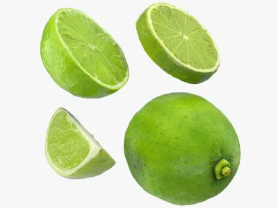 Lime Collection 3D model
