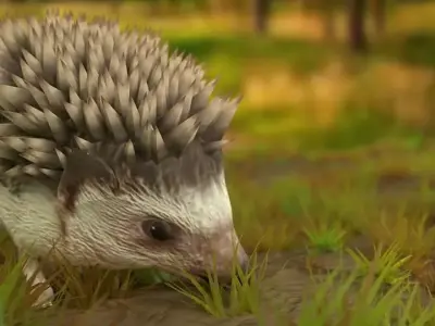 Rigged Hedgehog Low-poly 3D model