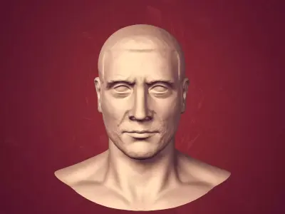 Man Head - Bust  3D model