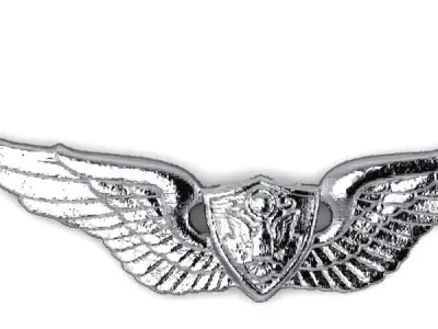 Army Aviation Aircraft Crewman Badge Miniature 3D print model