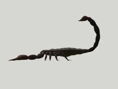 Scorpion 3D model shop