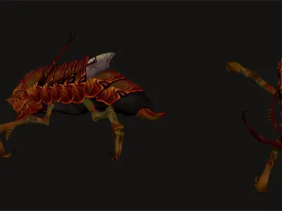 Insects family pack Zbrush models 3D model