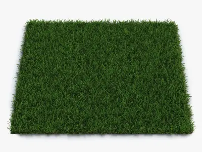  Grass Fields Collection 