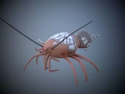 Shrimp 3D model buy