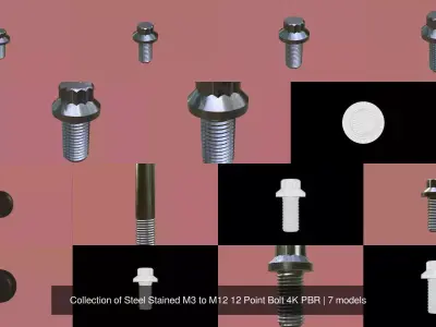 Collection of Steel Stained M3 to M12 12 Point Bolt 4K PBR 3D Model Pack