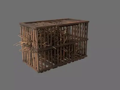 Medieval Wood Cage 3D model