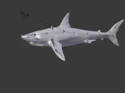 shark 3D model 2
