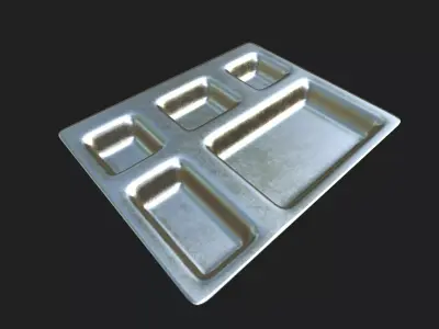 Industrial Metal Food Tray 3D Model with 5 Compartments 3D model