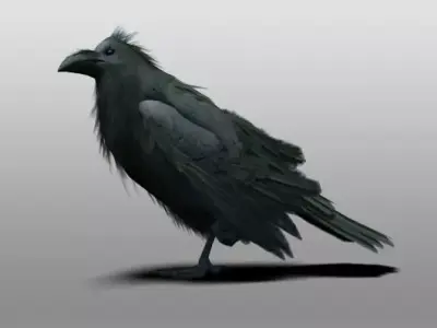 Raven 3D model