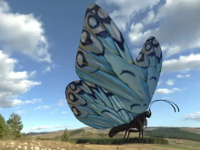 BUTTERFLY Low-poly 3D model order