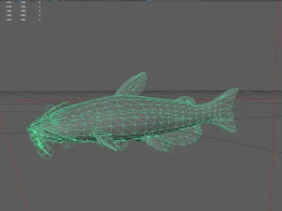 Catfish Low-poly 3D model 11