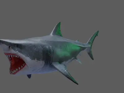 Great White Shark 3D model 3