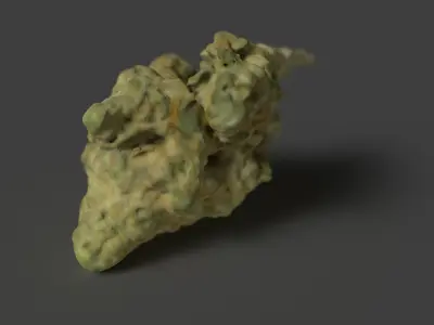 weed nug 3D model