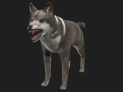 Wolf animal Low-poly 3D model