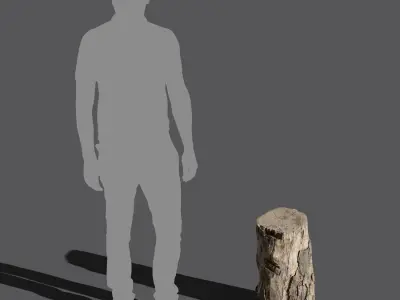  Medium Cut Semi-Bare Stump Model 