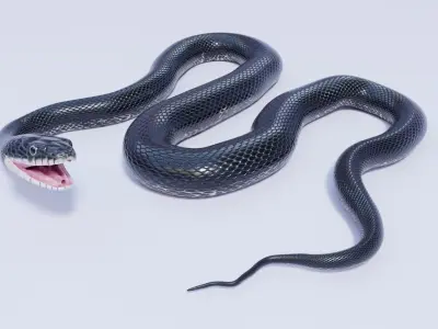 Animated Black Rat Snake 3D model