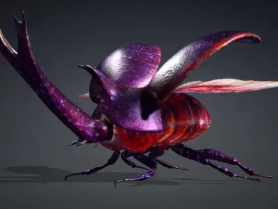 Stenocara A2 Free 3D model