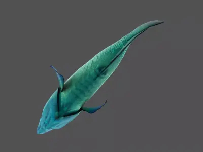 Napoleon fish Low-poly 3D model