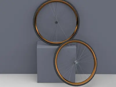 Bicycle Rim With Tire Off-road  3D model