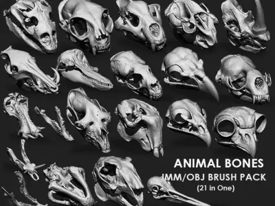 Animal Bones Collection IMM Stl Obj Brush Pack 21 in One Vol 1 3D model