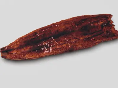 Grilled Eel 3D model