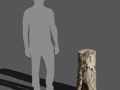  Medium Cut Flaking Conifer Stump Model 