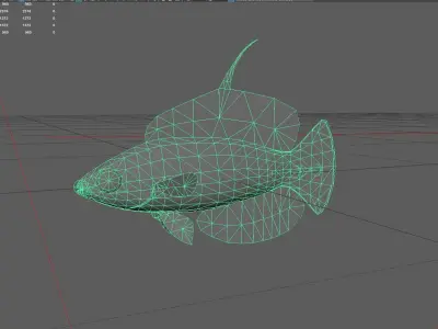 Wrasse Low-poly 3D model 6