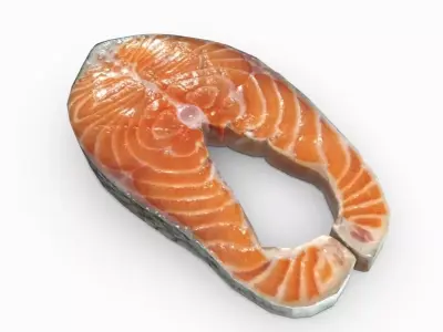 Salmon piece of 3D model