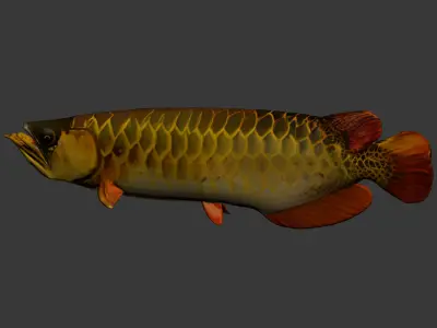 lucky dog 3D model