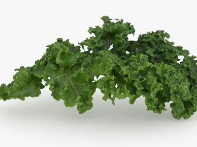  Lettuce Collection 1 