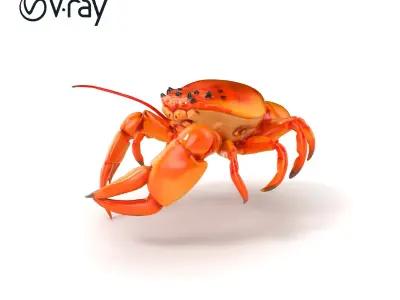 Kamchatka Crab Spiky Carapace Model Pack Low-poly 3D model