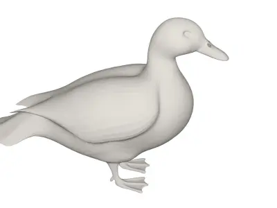 Duck animals 3D model