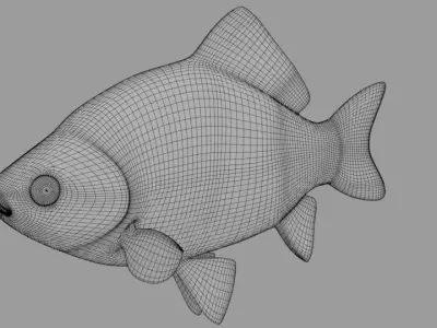 Fish Crucian Free 3D model