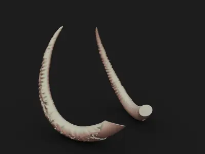 Tusks 3D print model