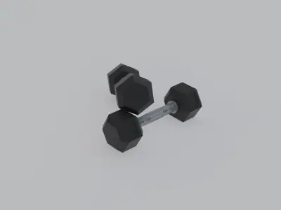 Dumbbell 10 KG Low-poly 3D model