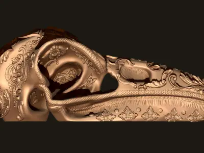 Deluxe Ornamental Bird skull 3D print model
