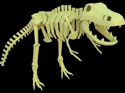 Lowpoly Trex t rex skeleton Free low-poly 3D model