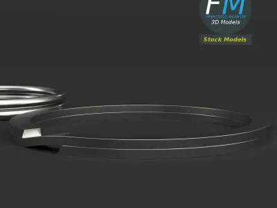 Split rings 3D model