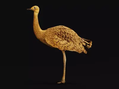 Bengal florican Bird Low-poly 3D model