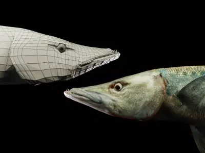 Animated Barracuda Low-poly 3D model