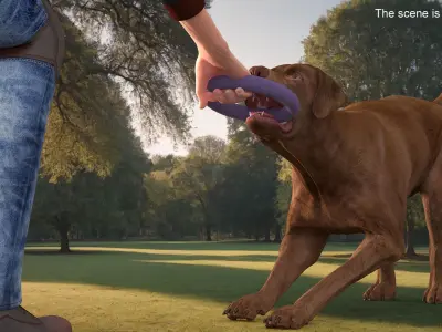 Man Playing with Dog 3D model
