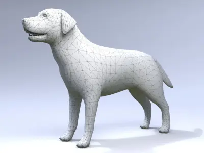 Labrador retriever Low-poly 3D model purchase