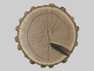 Treetrunk Model Low-poly 3D model
