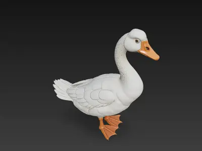 Duck White 3D Model Basic - Low Poly Simple Low-poly 3D model