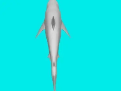 big shark 3D model
