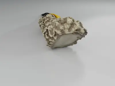 Obsidian knife 3D model