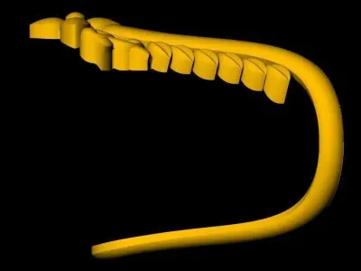 vanki Ring 3dm file 3D print model