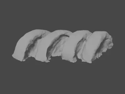 Scanned salmon sushi pieces 3D model